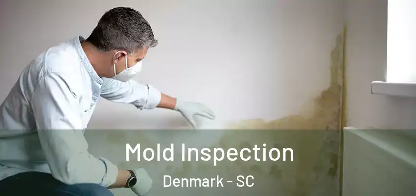 Mold Inspection Denmark - SC