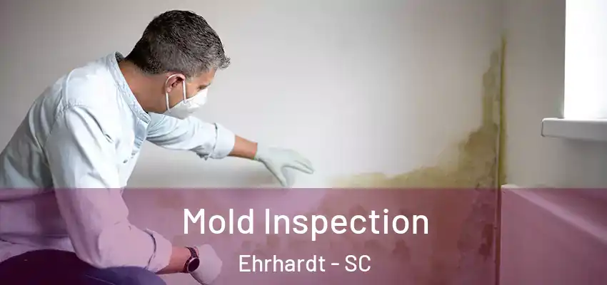  Mold Inspection Ehrhardt - SC