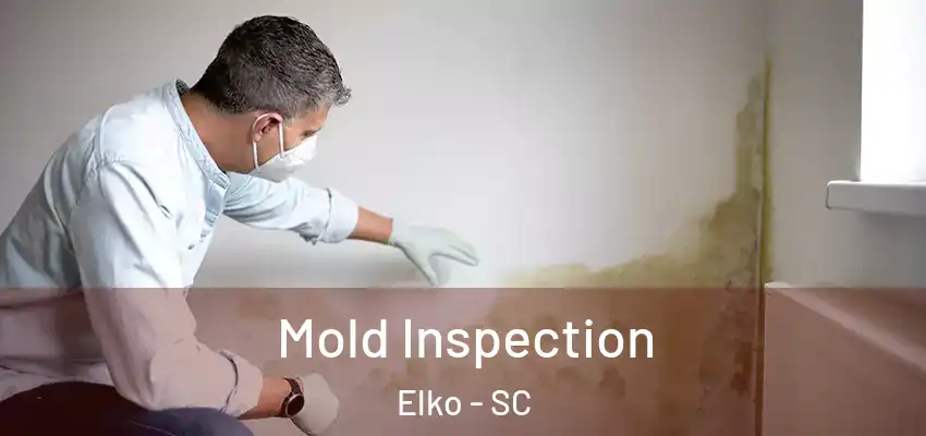 Mold Inspection Elko - SC
