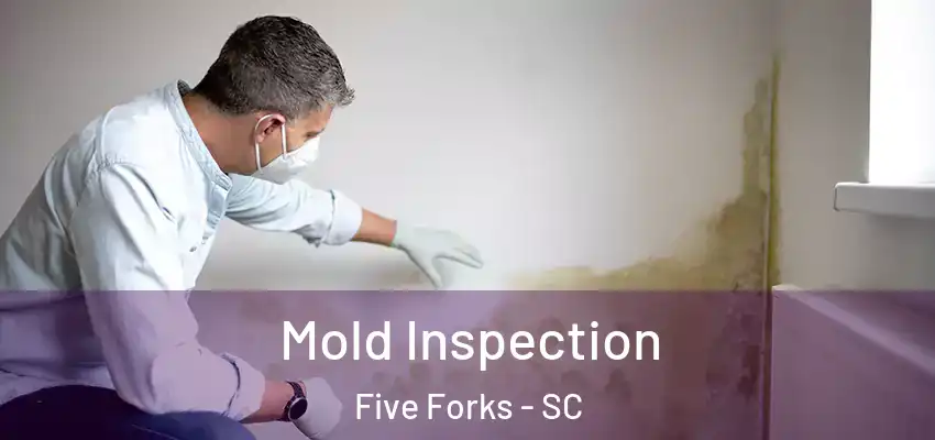 Mold Inspection Five Forks - SC