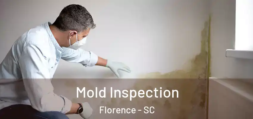  Mold Inspection Florence - SC