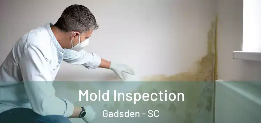  Mold Inspection Gadsden - SC