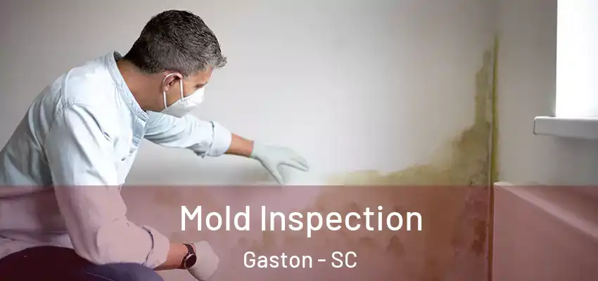  Mold Inspection Gaston - SC
