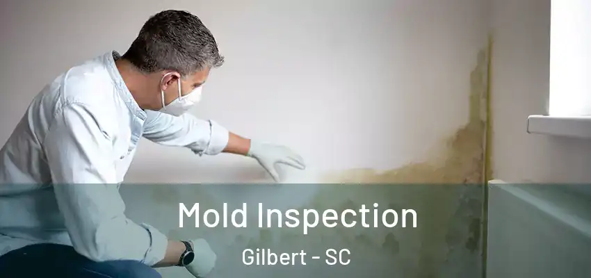  Mold Inspection Gilbert - SC