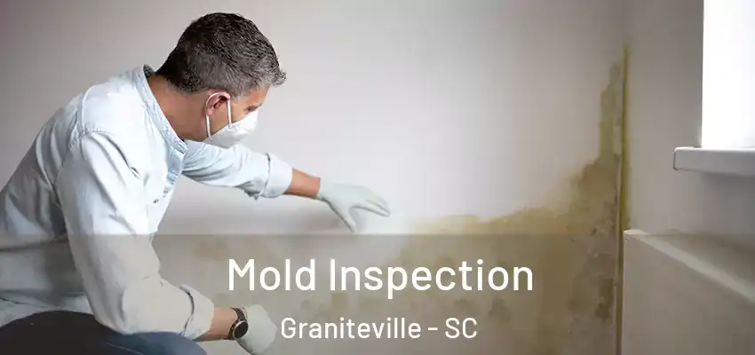  Mold Inspection Graniteville - SC