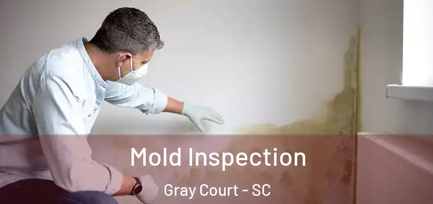  Mold Inspection Gray Court - SC
