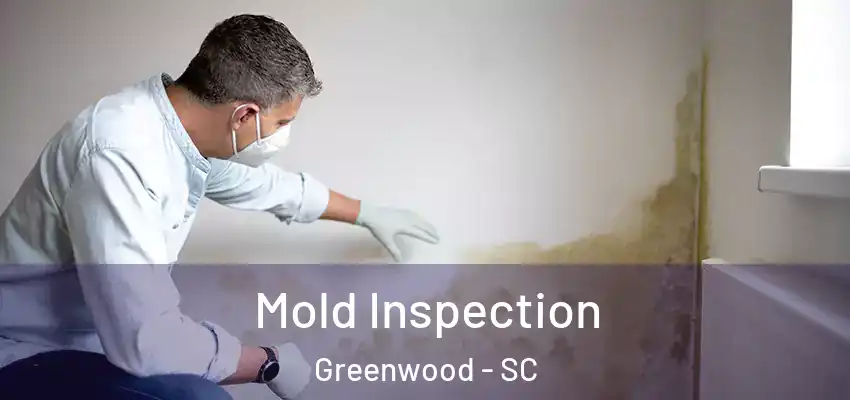 Mold Inspection Greenwood - SC