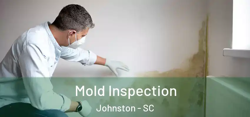 Mold Inspection Johnston - SC