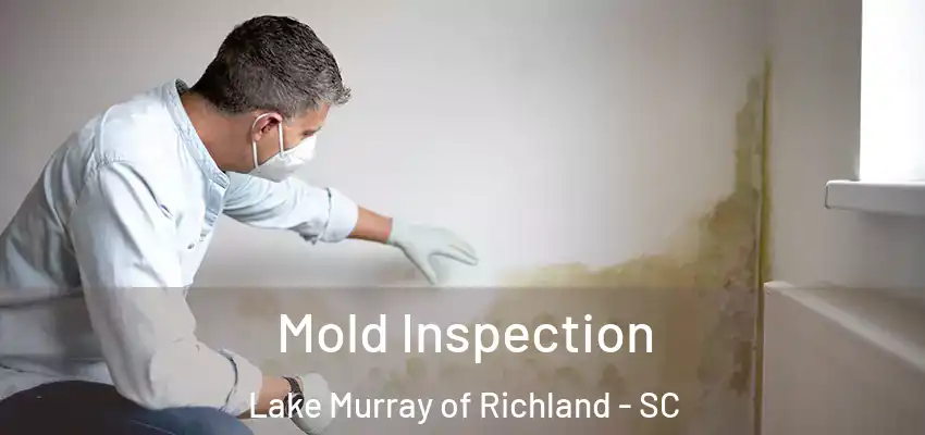 Mold Inspection Lake Murray of Richland - SC