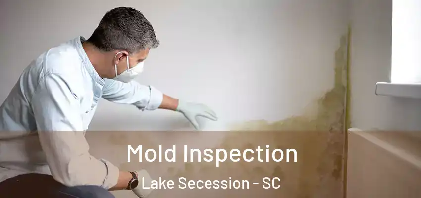 Mold Inspection Lake Secession - SC
