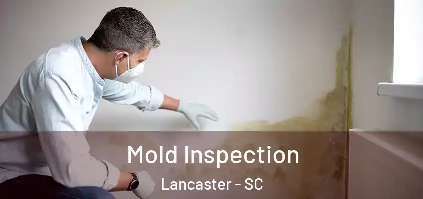 Mold Inspection Lancaster - SC