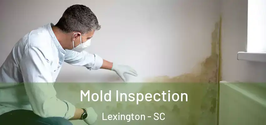  Mold Inspection Lexington - SC