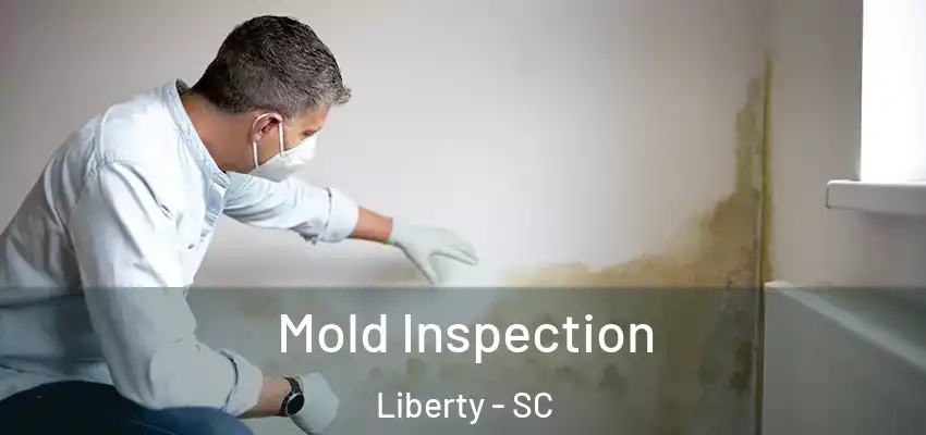 Mold Inspection Liberty - SC