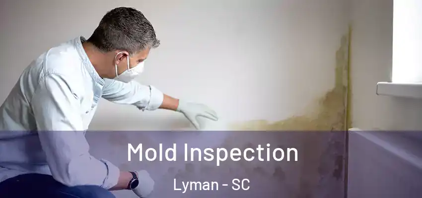 Mold Inspection Lyman - SC