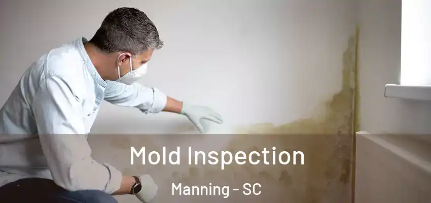  Mold Inspection Manning - SC