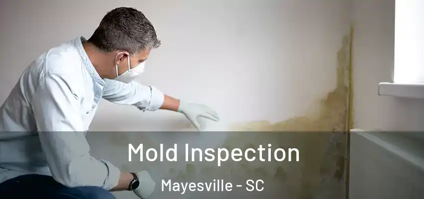  Mold Inspection Mayesville - SC