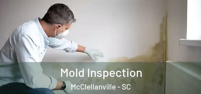  Mold Inspection McClellanville - SC