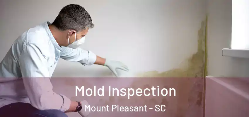  Mold Inspection Mount Pleasant - SC