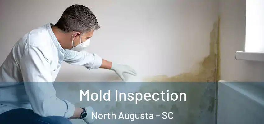 Mold Inspection North Augusta - SC