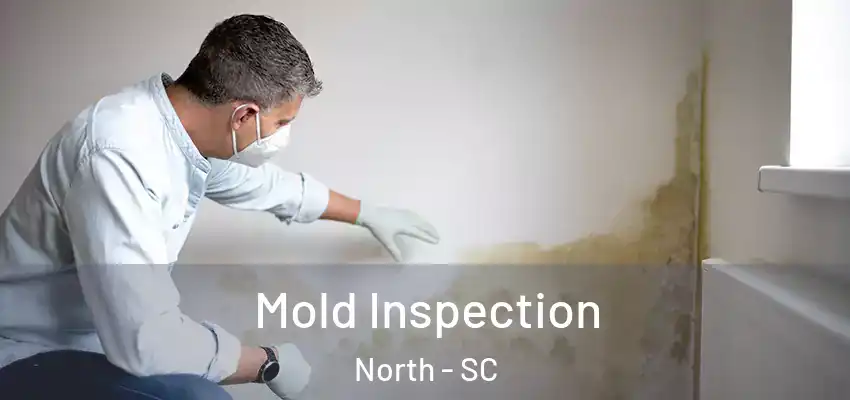 Mold Inspection North - SC