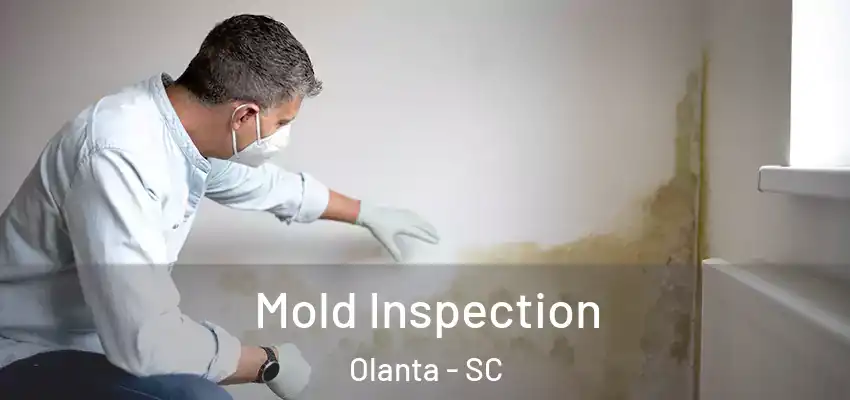 Mold Inspection Olanta - SC
