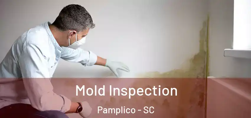  Mold Inspection Pamplico - SC