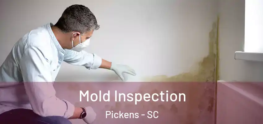 Mold Inspection Pickens - SC