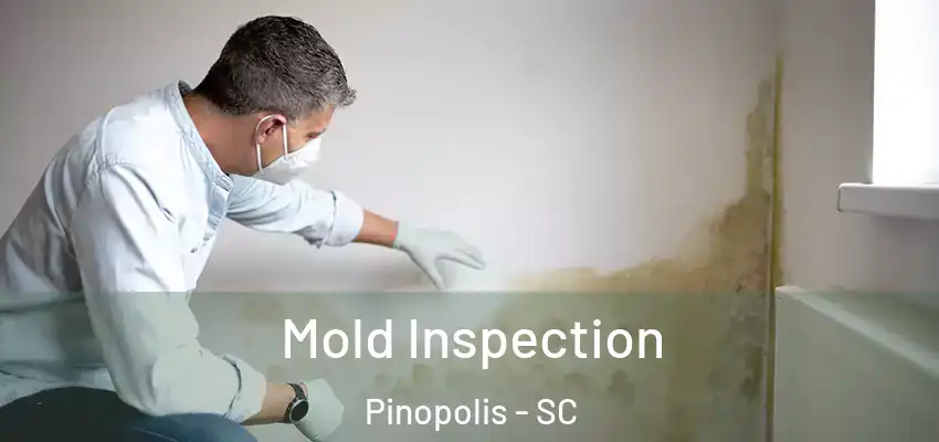  Mold Inspection Pinopolis - SC