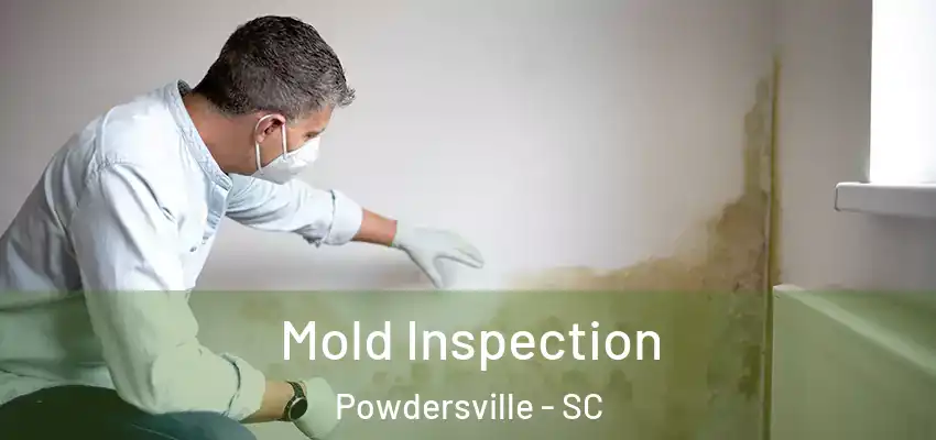  Mold Inspection Powdersville - SC