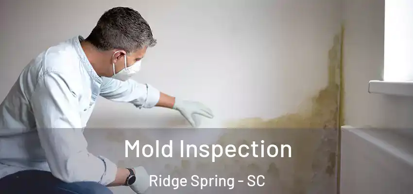 Mold Inspection Ridge Spring - SC