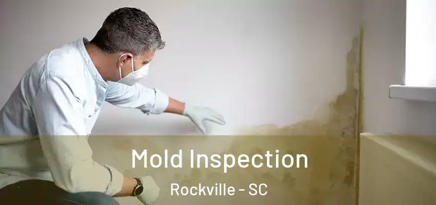Mold Inspection Rockville - SC