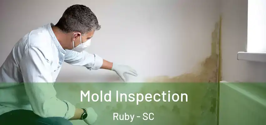  Mold Inspection Ruby - SC