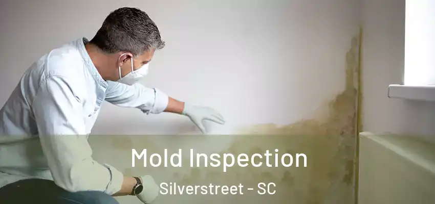 Mold Inspection Silverstreet - SC