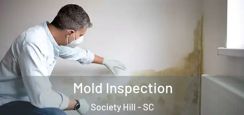  Mold Inspection Society Hill - SC