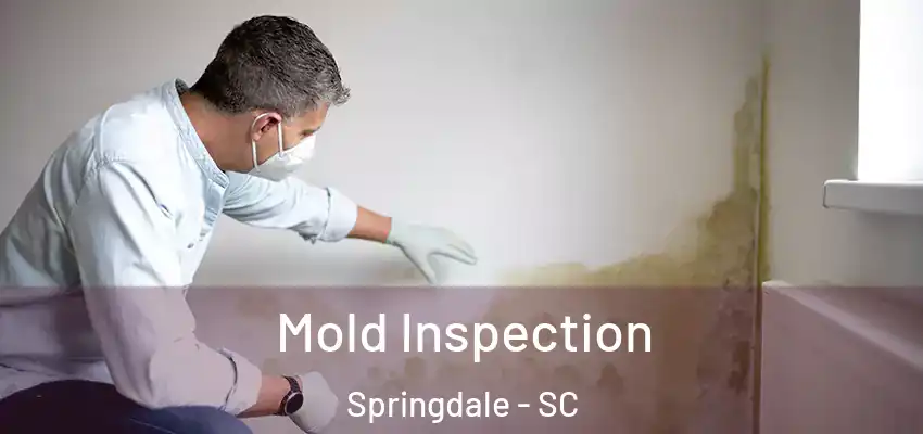 Mold Inspection Springdale - SC