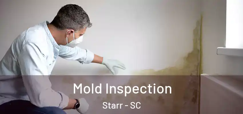  Mold Inspection Starr - SC