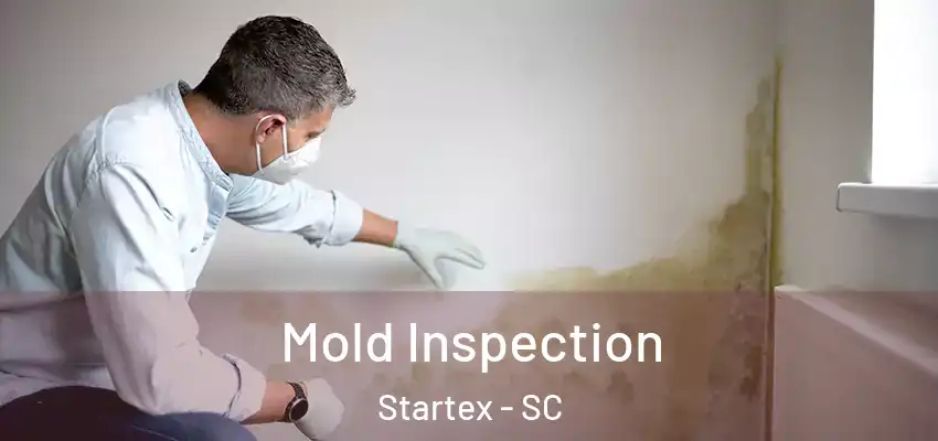  Mold Inspection Startex - SC