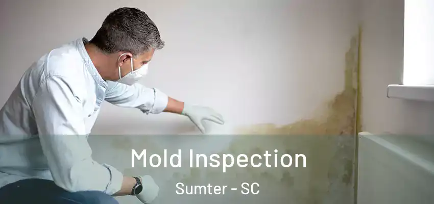  Mold Inspection Sumter - SC