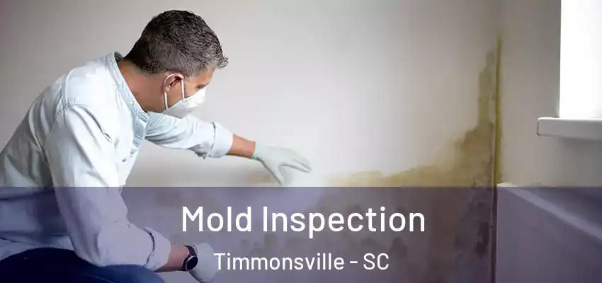 Mold Inspection Timmonsville - SC