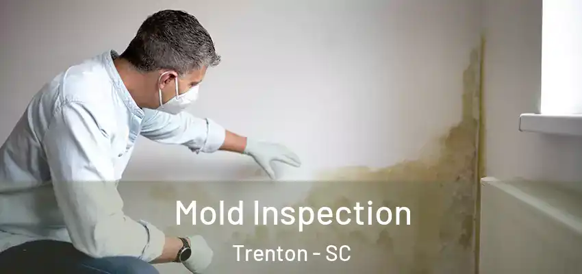  Mold Inspection Trenton - SC