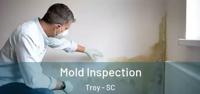 Mold Inspection Troy - SC