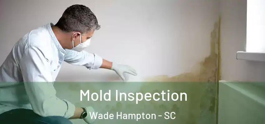 Mold Inspection Wade Hampton - SC