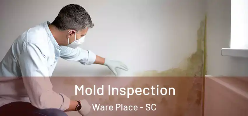 Mold Inspection Ware Place - SC
