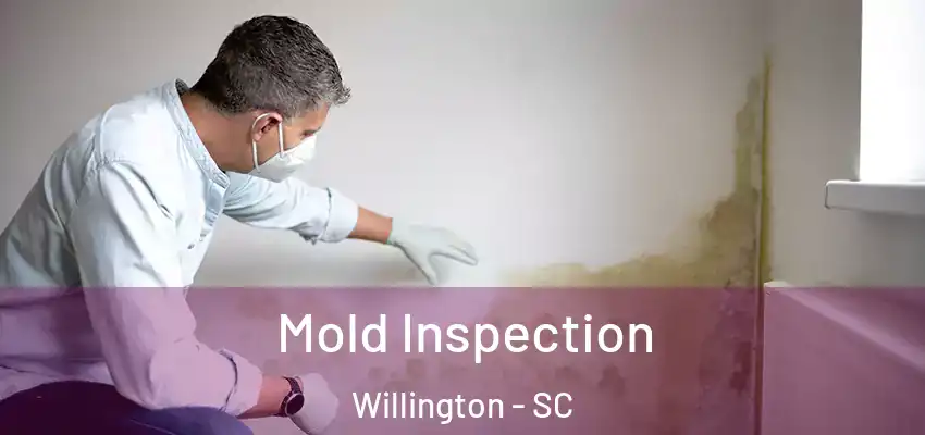  Mold Inspection Willington - SC