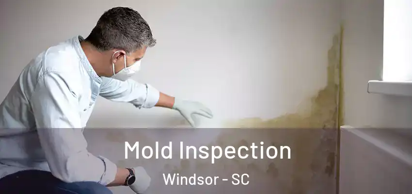 Mold Inspection Windsor - SC