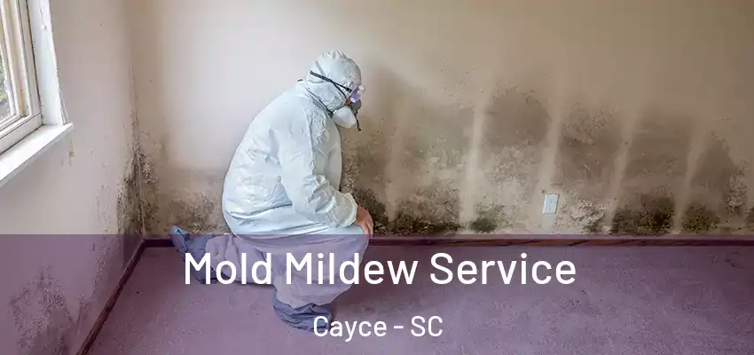 Mold Mildew Service Cayce - SC