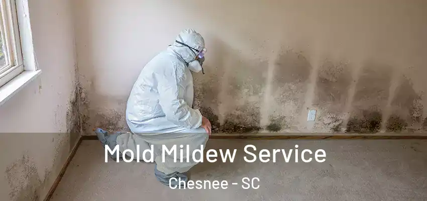 Mold Mildew Service Chesnee - SC