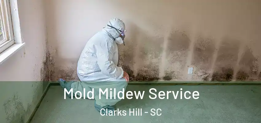  Mold Mildew Service Clarks Hill - SC