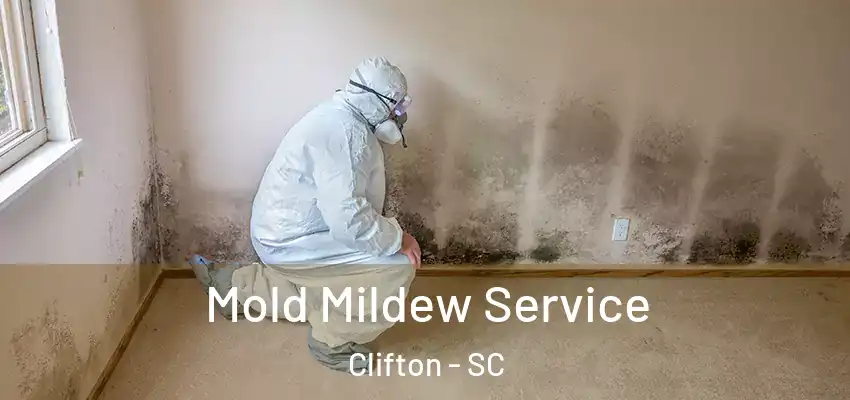  Mold Mildew Service Clifton - SC