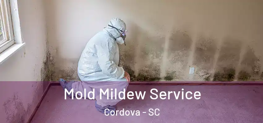  Mold Mildew Service Cordova - SC